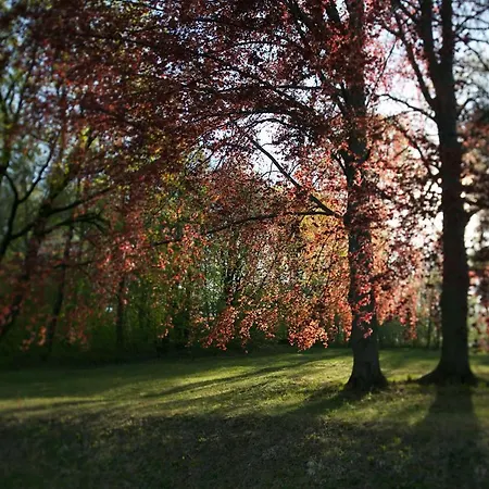 Sola Gratia Bystřice pod Hostýnem